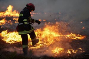 Wildfires in southwest Europe: What we know so far