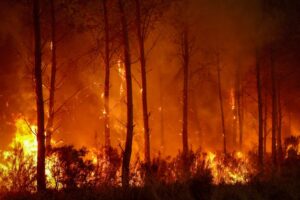 Photos: France, Spain battle ‘monster’ wildfires as more heat looms
