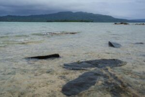 One dead, more than 30 missing after Vanuatu ferry sinks, PM’s office says