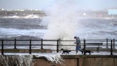 Clean-up under way as Storm Boelo leaves thousands without power
