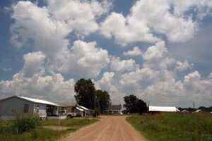 As US midterms approach, farmers decide what to plant and how to vote