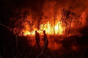 Four killed as Indonesia battles worst forest fires in more than a decade