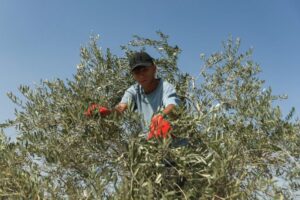 Two killed near Israeli-occupied area in south Lebanon